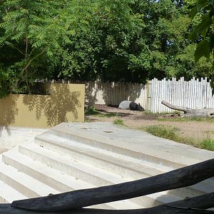 Tapir house - First Malayan tapir outdoor enclosure