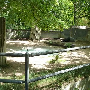 Tapir house - Second Malayan tapir enclosure