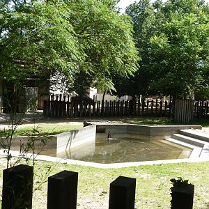 Indian rhino enclosure