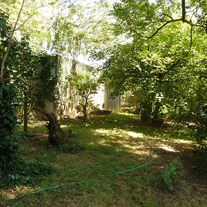 Great Aviary - Africa aviary