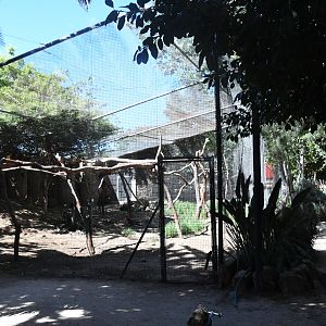 Macaws Aviary
