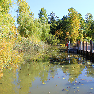 Wetlands Trail