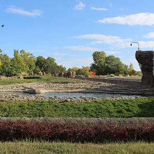 Polar Bear Exhibit #1 (Tundra Habitat) - Arctic Ring of Life