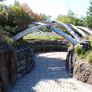 Polar Bear Viewing - Arctic Ring of Life