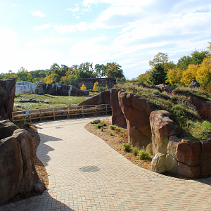 Newly Added Polar Bear Viewing - Arctic Ring of Life