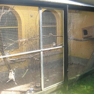 Dyrenes Verden - Kookaburra aviary