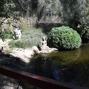 "Asian" Garden