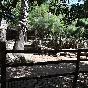 Paddock for Lowland Tapirs and Coscorobas