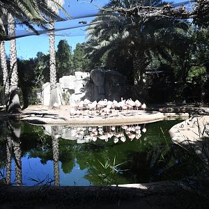 Aviary for Flamingos, Waterfowl, and Wading Birds