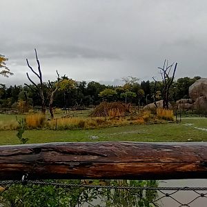 Lewa Savannah African Savannah Enclosure