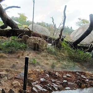 Lewa Savannah View from the Kopje