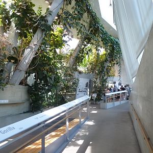 Ape house - General view