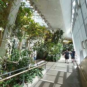 Ape house - General view