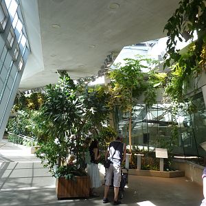 Ape house - General view