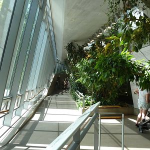 Ape house - General view