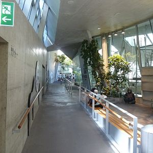 Ape house - General view