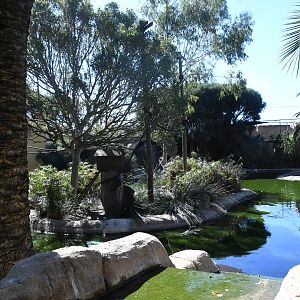 Bolivian Squirrel Monkeys Island