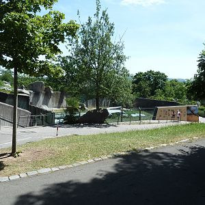 Female cheetah enclosure
