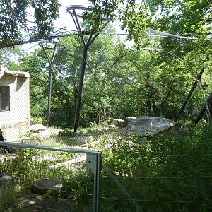 Snow leopard enclosure