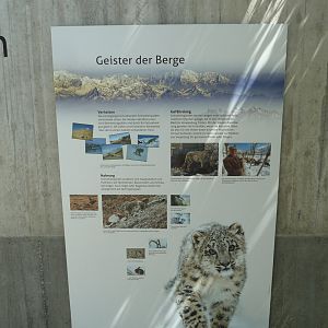 Snow leopard sign