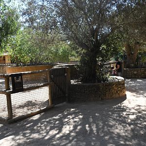 Farm and Domestic Animals Area