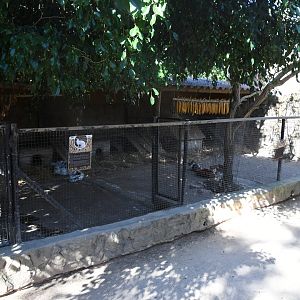 Farm and Domestic Animals Area