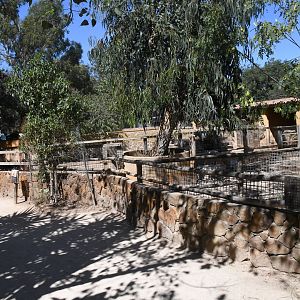 Farm and Domestic Animals Area