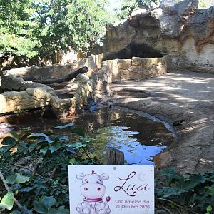 Pygmy Hippos Exhibits (set of two enclosures)