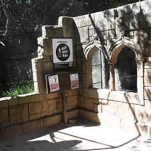 Toucan Aviary and Green Iguana Exhibit