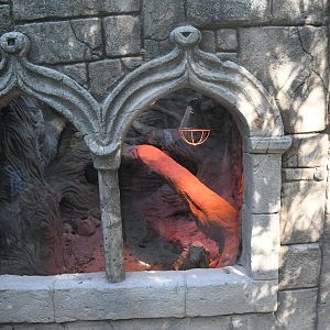 Green Iguana Exhibit