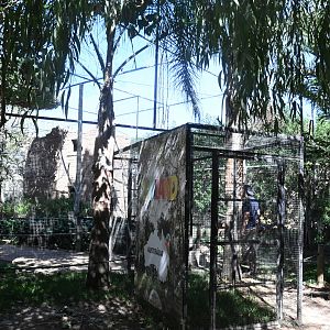 Large Aviary (Lorikeets, etc.)