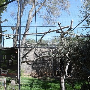 Aviary for Rescued Parrots