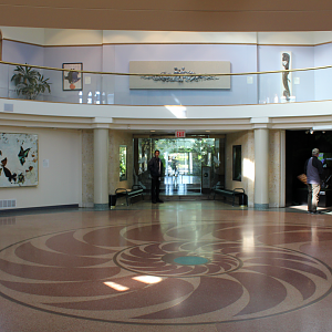 Wildlife Interpretive Gallery Main Lobby