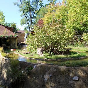North American River Otter Exhibit