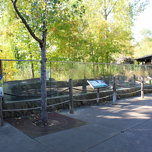 Beaver Exhibit