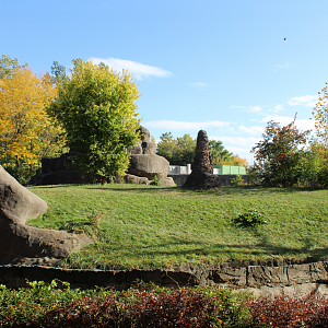 Gorilla Exhibit - Great Apes of Harambee