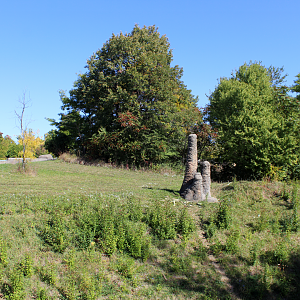 Chimpanzee Exhibit - Great Apes of Harambee