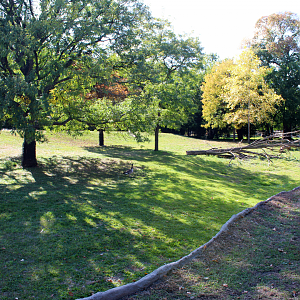 Sandhill Crane Exhibit
