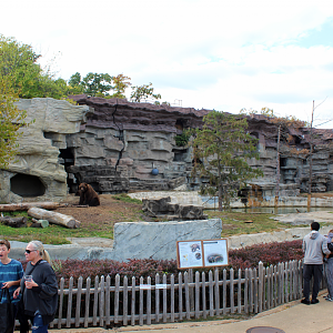 Grizzly Bear Exhibit