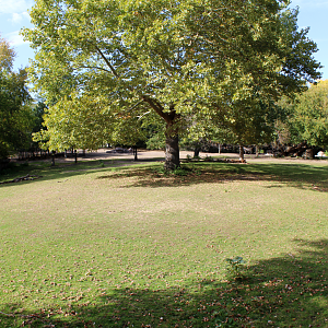 Grevy's Zebra & Wildebeest Exhibit