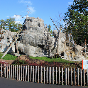 Japanese Macaque Exhibit