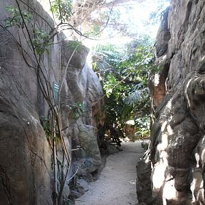 Passage from the Fruit-Bats Aviary to Chimpanzees' Exhibit