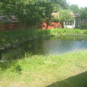 Dyrenes Verden - Emu exhibit