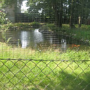Dyrenes Verden - Emu exhibit