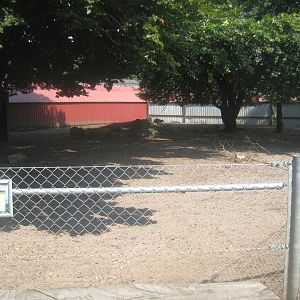 Dyrenes Verden - Wallaby/cavy exhibit