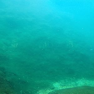 Underwater view into polar bear pool, 2022-09-14