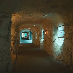 "Ice cave" with Pacific walrus underwater viewing areas, 2022-09-14