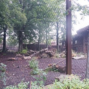 Amur tiger exhibit and Tiger House resort building, 2022-09-14