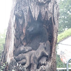 Bear with cubs in den trunk carving, 2022-09-14