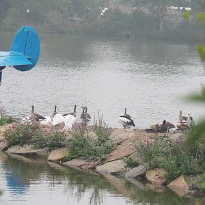 Lakeside species, 2022-09-14